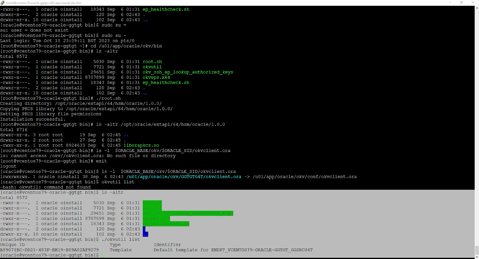 oracle@vcentos79-oracle-ggtgt:/u01/app/oracle/okv/bin