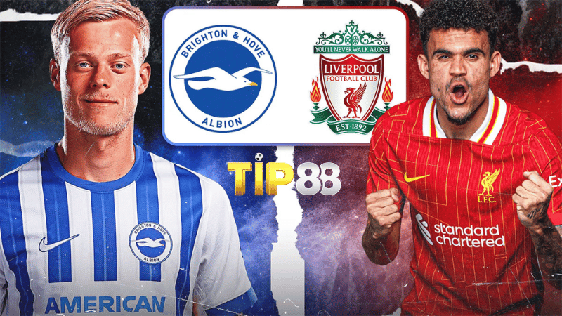 Lịch sử đối đầu Brighton vs Liverpool