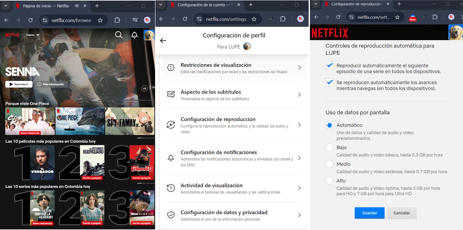 Pasos para configurar el uso de datus datos en Netflix