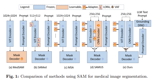 CC-SAM: Achieving Superior Medical Image Segmentation with 85.20 Dice Score and 27.10 Hausdorff Distance Using Convolutional Neural Network CNN and ViT Integration