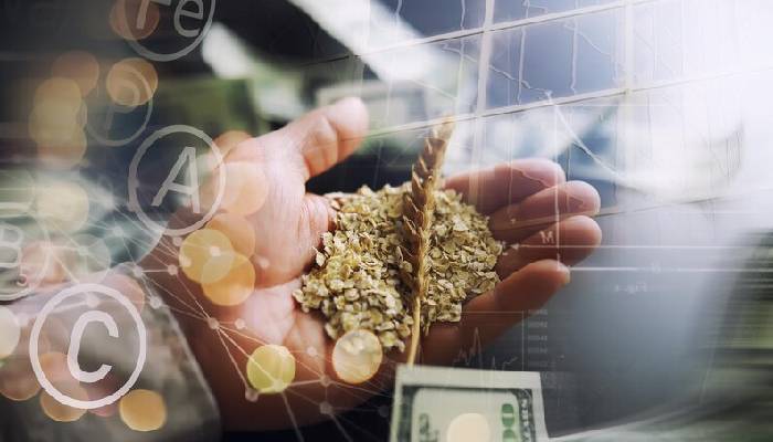 Invest In Commodities