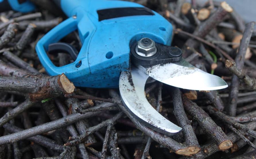 blue colored electric pruning shears placed on cut branches