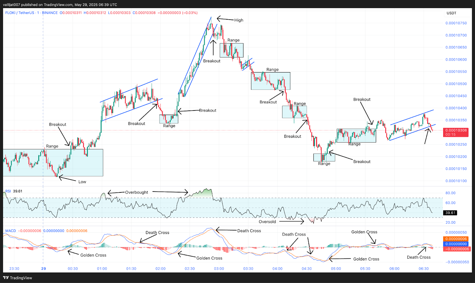 Chart 3: FLOKI/USDT M1 Chart, Analysed by vallijat007, published on TradingView, May 29, 2025
FLOKI price