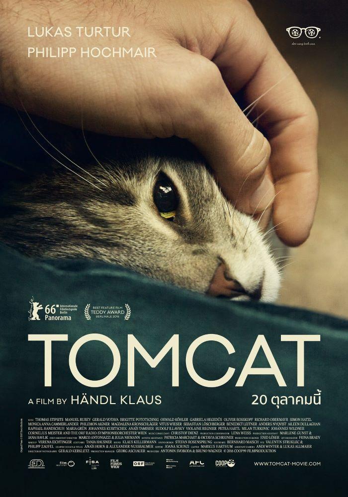 3.TOMCAT 