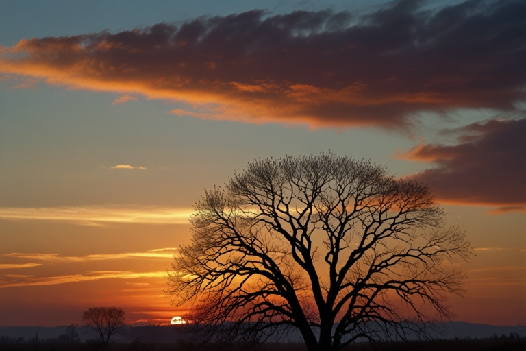 What Color Would Sunrise Be in a Heavily Polluted Sky
