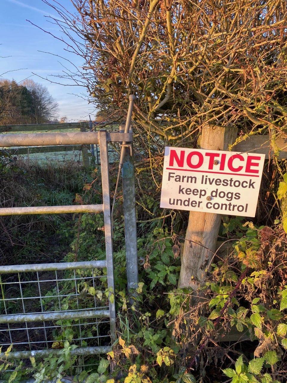 NOTICE farm livestock keep dogs under control