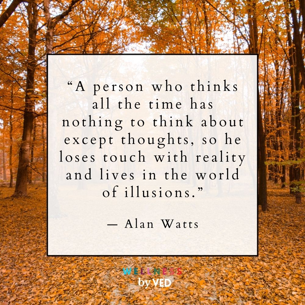 Alan Watts quotes 