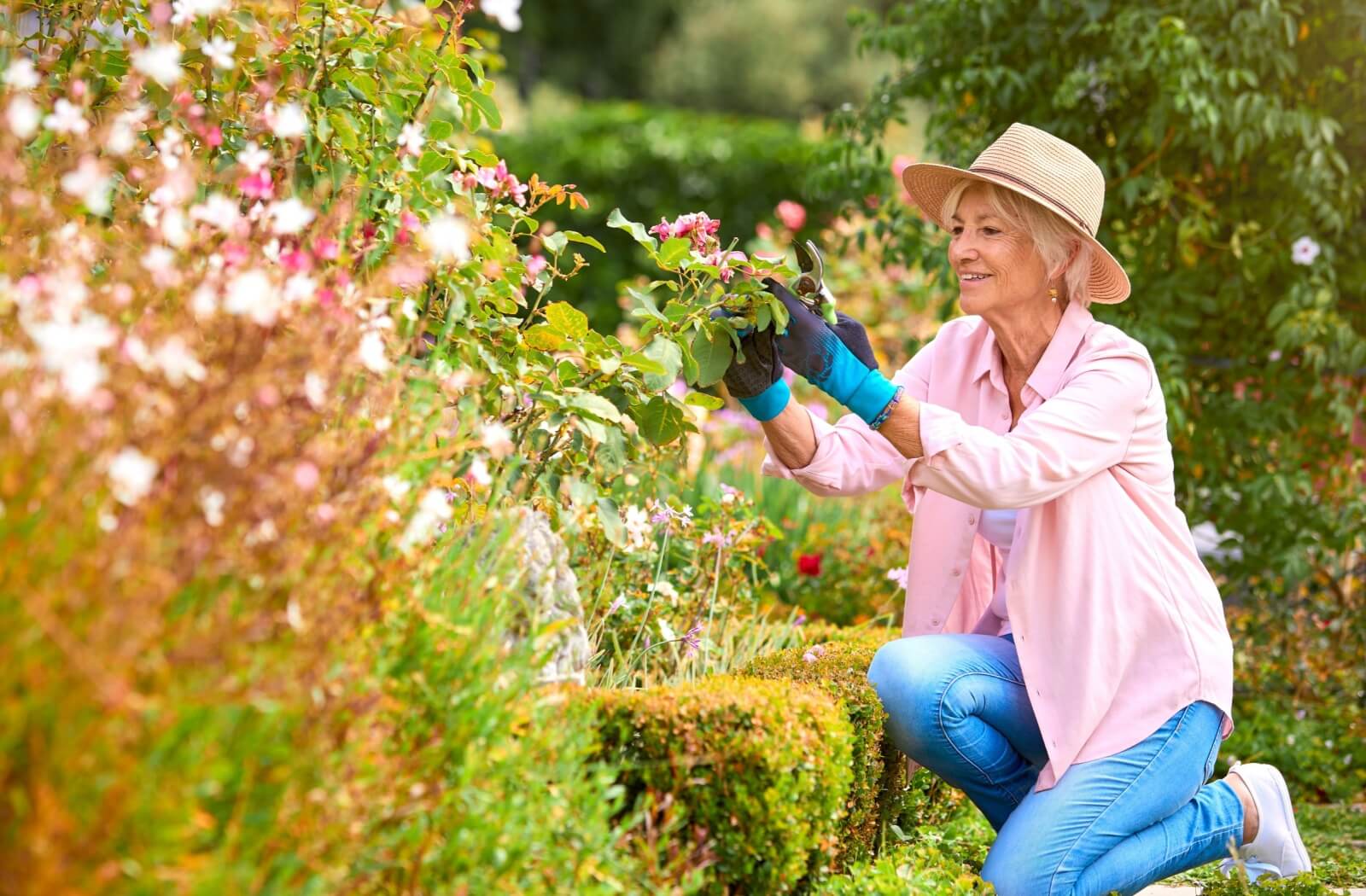 Senior person outdoors gardening in a summer garden surrounded by bushes and flowers.