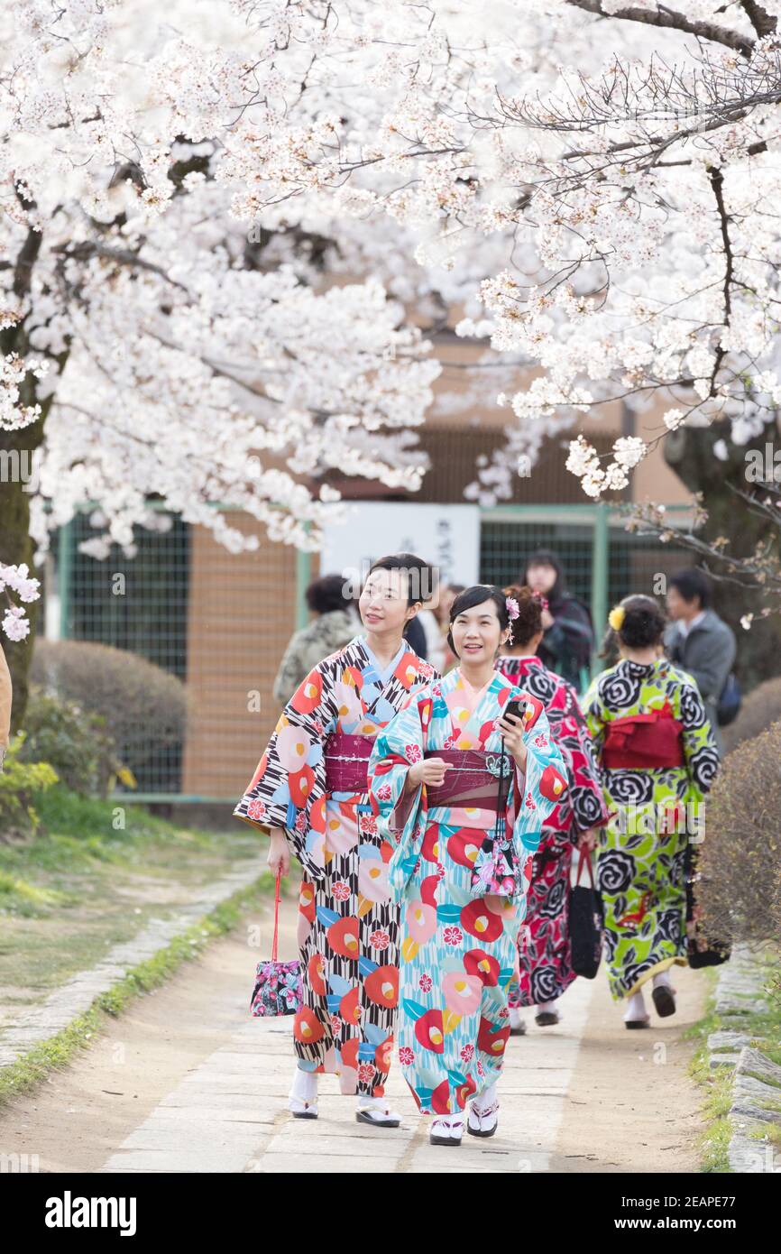 哲学家之路和服