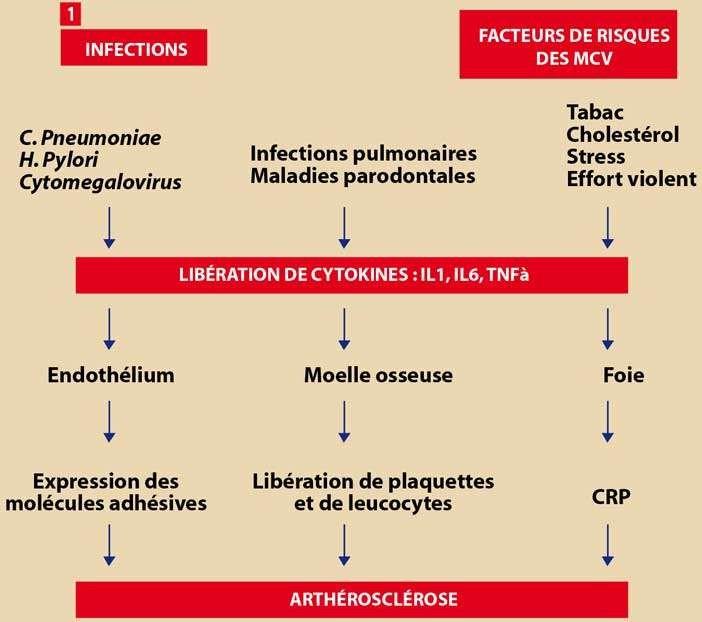 Prématurité-et-hypotrophie