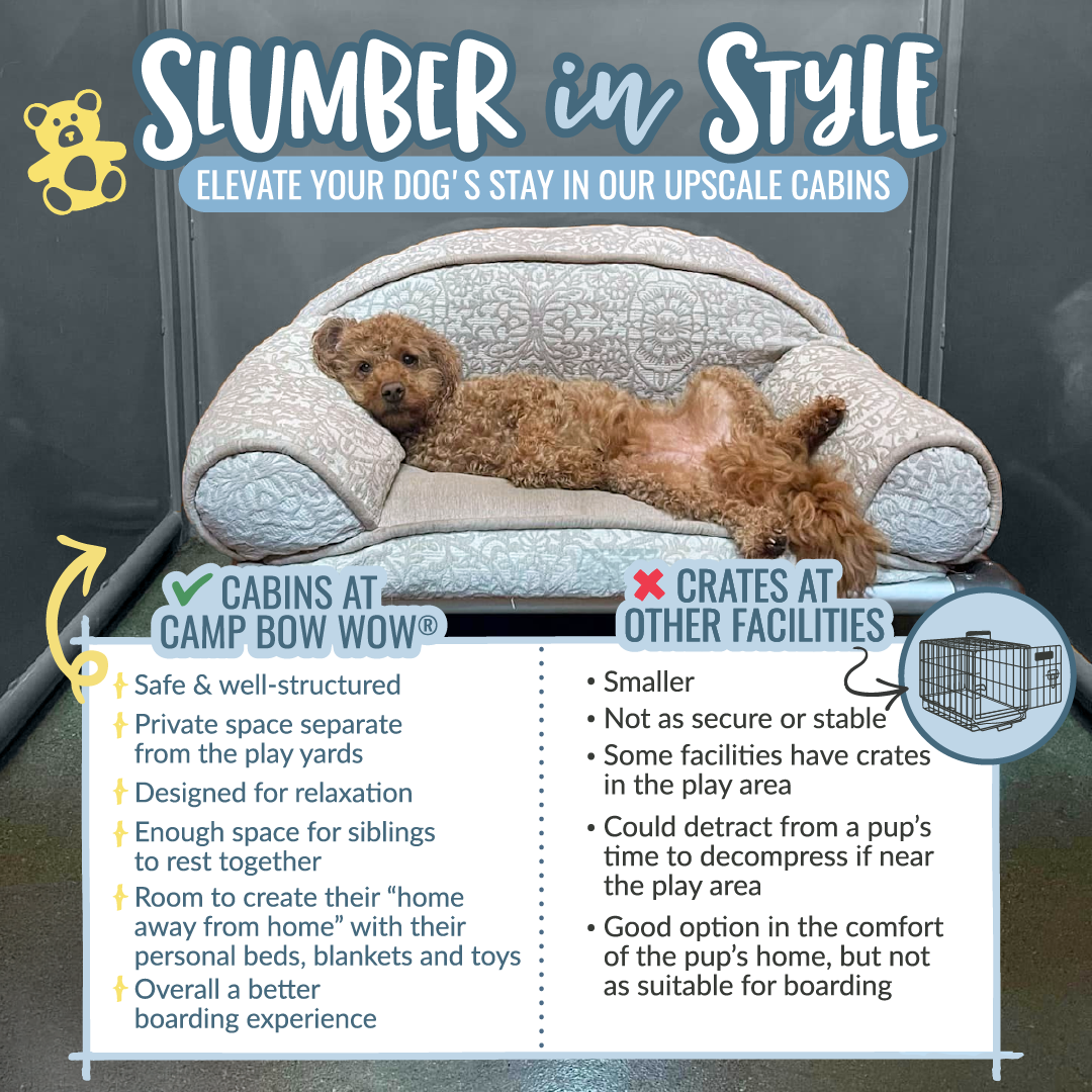 Cabins at Camp Bow Wow are a safe, secure, and spacious resting space for your dog. Camp Bow Wow has the advantage with Cabins over competitors that use dog crates or kennels which is not as robust, spacious, or safe.