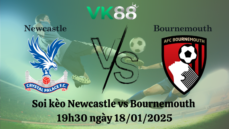 Soi kèo Newcastle vs Bournemouth 19h30 ngày 18/01/2025