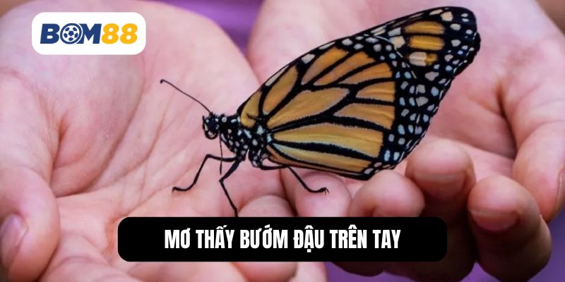 Mơ thấy bướm đậu trên tay