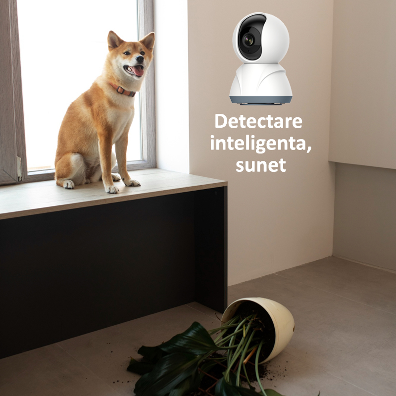 Detectarea inteligenta a sunetului