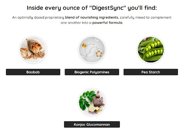 DigestSync : official website of aikido club - clubeo