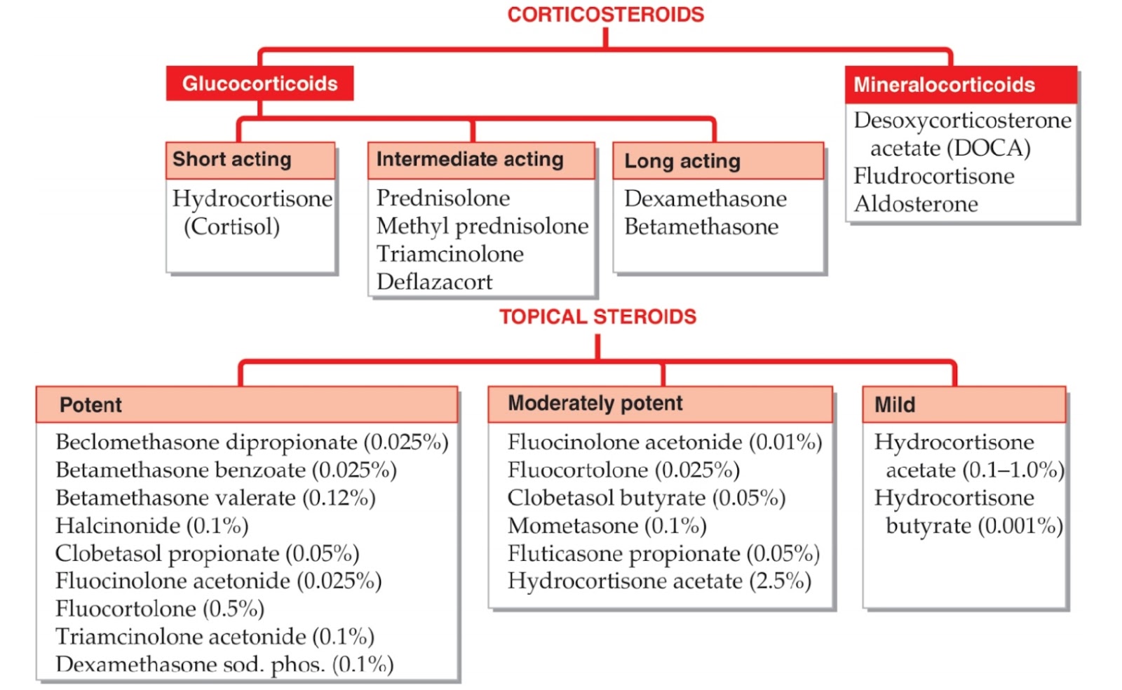 Corticosteroids