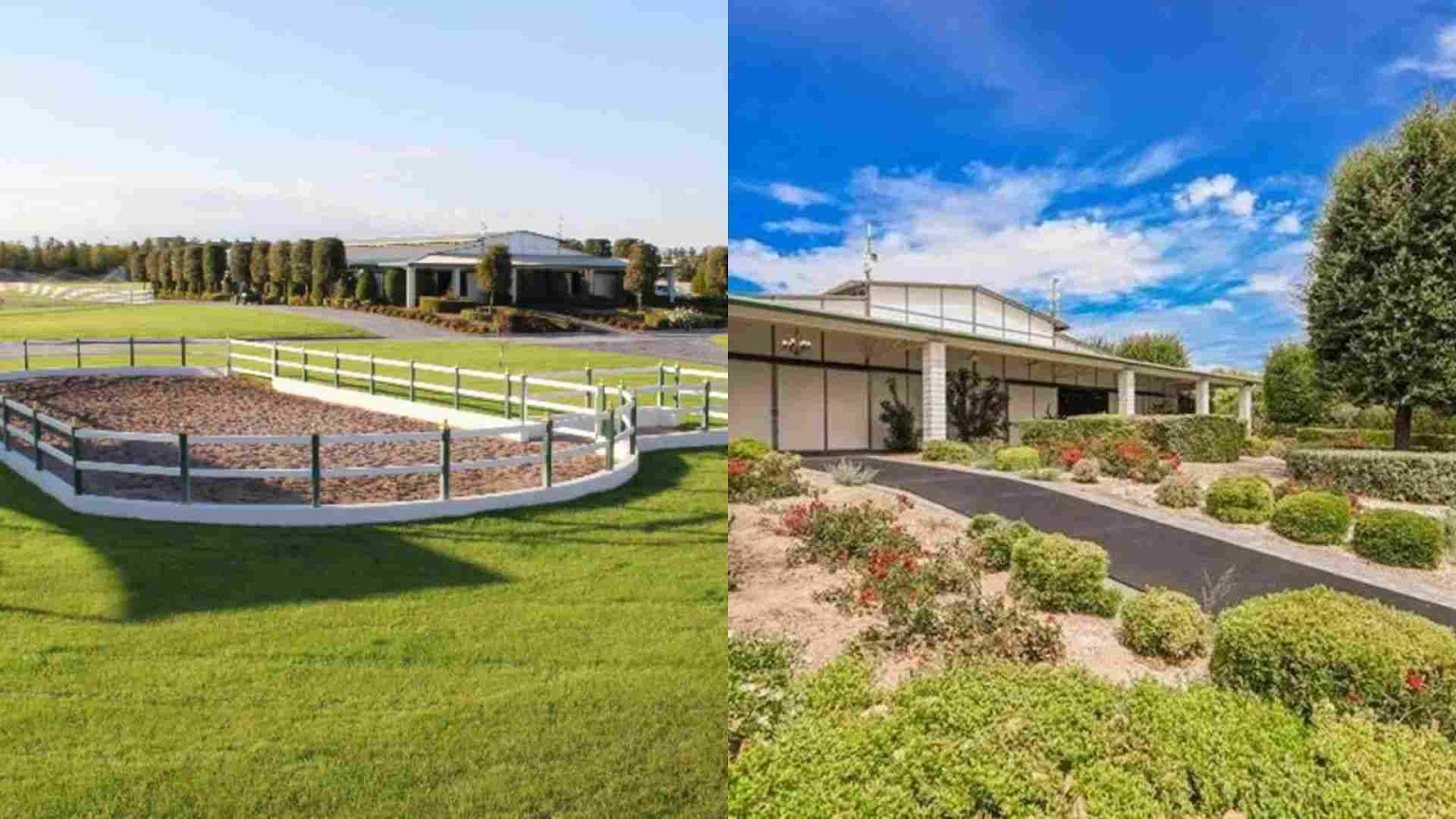 Horse Stables