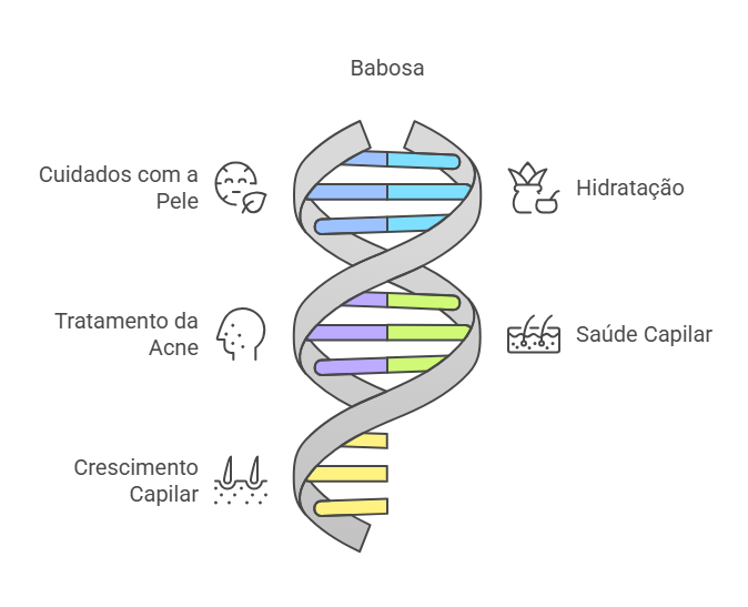 infográfico dos benefícios da babosa