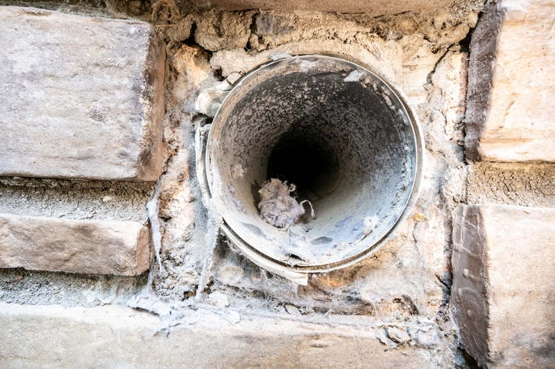 close-up of a clogged dryer vent needing dryer vent cleaning services