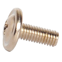 Shop Cup Washer Head Screws at Olander