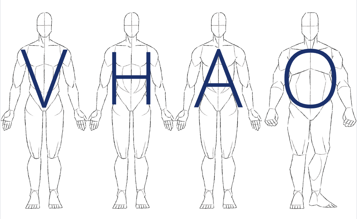 Male body types