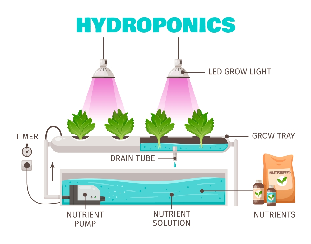 Equipments for Hydroponic Gardening