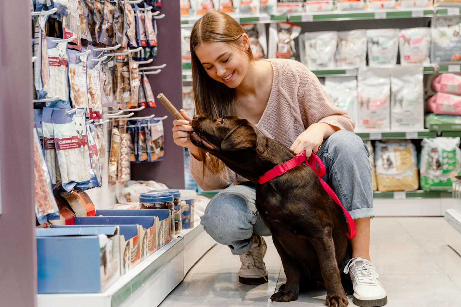 Dog shop for dog training and accessories in australia
