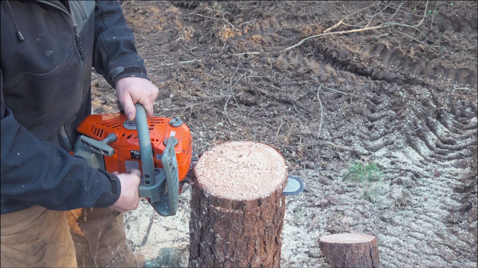 Efficiency of Proyama Top Handle Chainsaw