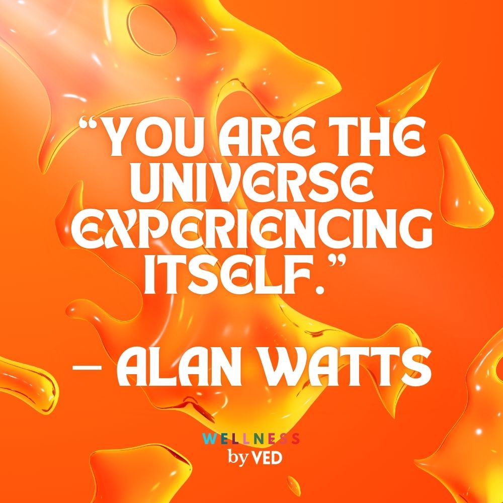Alan Watts quotes 