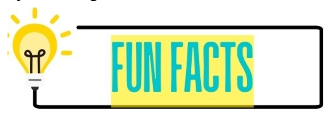 Fun Facts