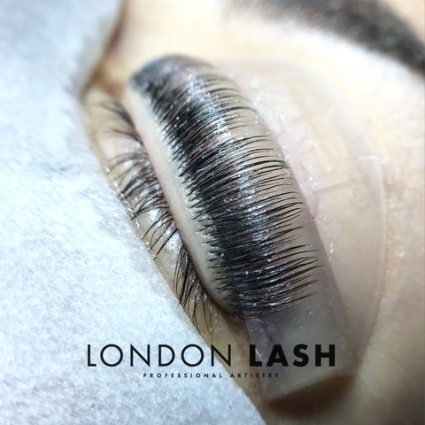 Lash shield during a lash lift procedure