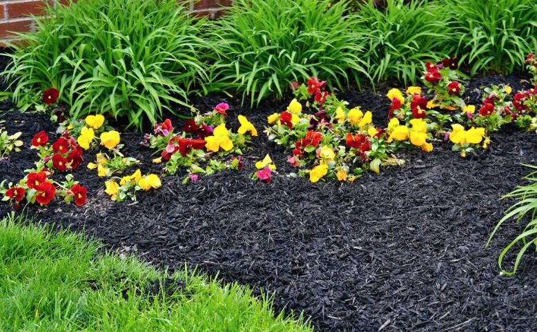 Hedge Shears Uses in Gardening (What You Need to Know) - image  on https://belltowercn.com