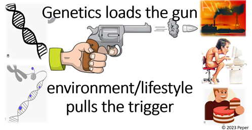 Genetics Loads 