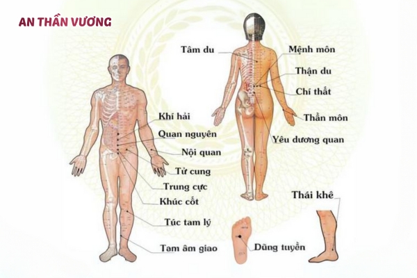 Biện pháp trị mất ngủ: Châm cứu kết hợp thảo dược