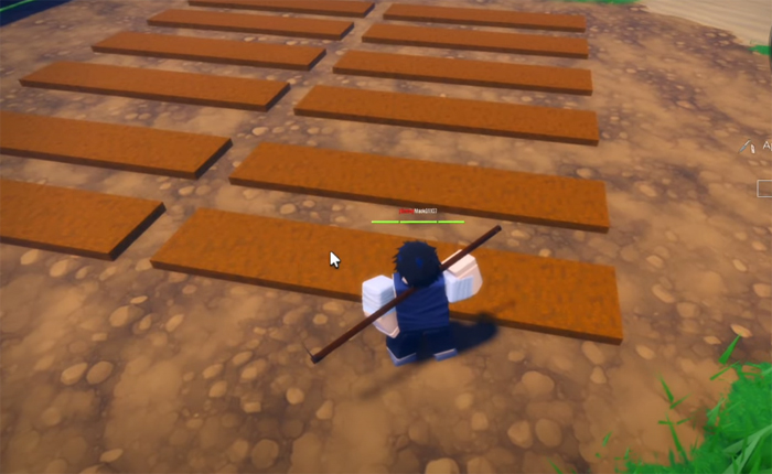 The Time of Ninja Watermelon Seed Guide
