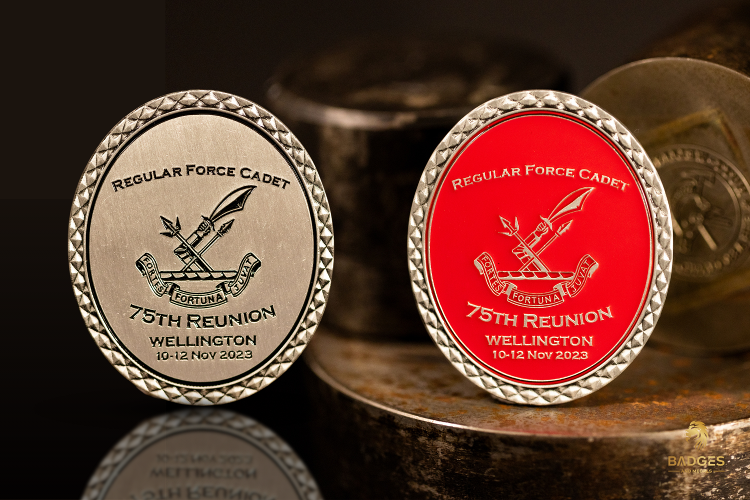 Custom Regular Force Cadet School challenge coin.