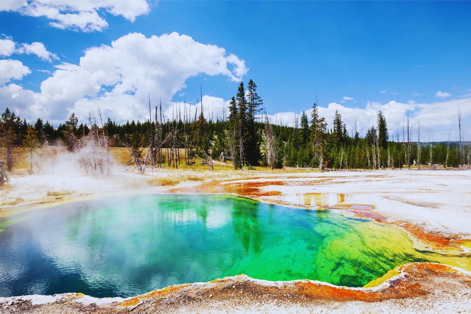 C:\Users\Vicky\Desktop\BulkResizePhotos.com\Yellowstone National Park.jpg