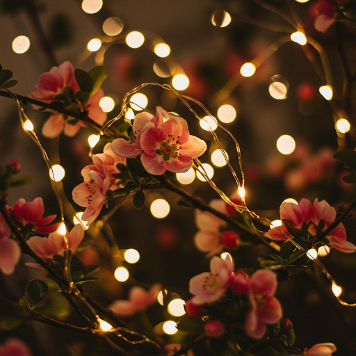 Twinkling Lights: The Classic Touch of Romance