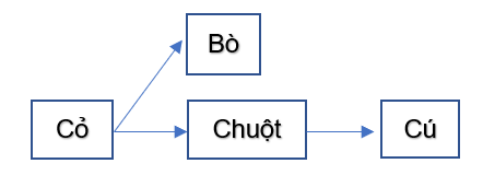 BÀI 23. VAI TRÒ CỦA THỰC VẬT TRONG CHUỖI THỨC ĂNMỞ ĐẦUCâu 1: Hãy nêu lợi ích của cây xanh đối với con người và động vật.