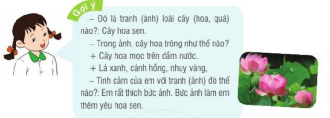 BÀI 21: LÁ PHỔI XANHLUYỆN NÓI VÀ NGHE: QUAN SÁT TRANH ẢNH CÂY, HOA, QUẢ(1 tiết)