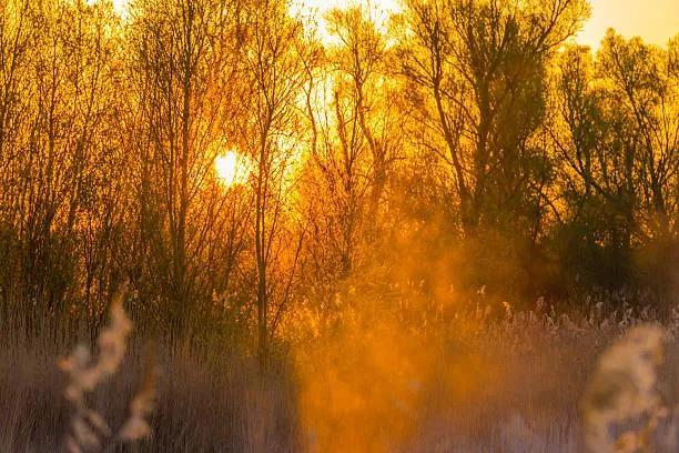 30 Landscapes That Showcase the Power of Nature, powerful landscapes, nature force, nature, landscape, natural scenery, dramatic photos