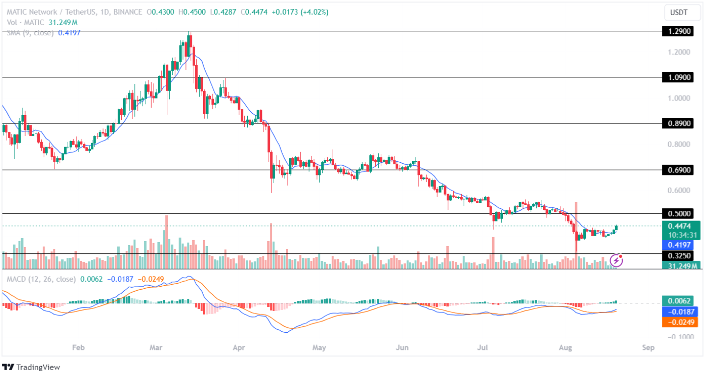 MATIC Price Analysis 20-08-2024 