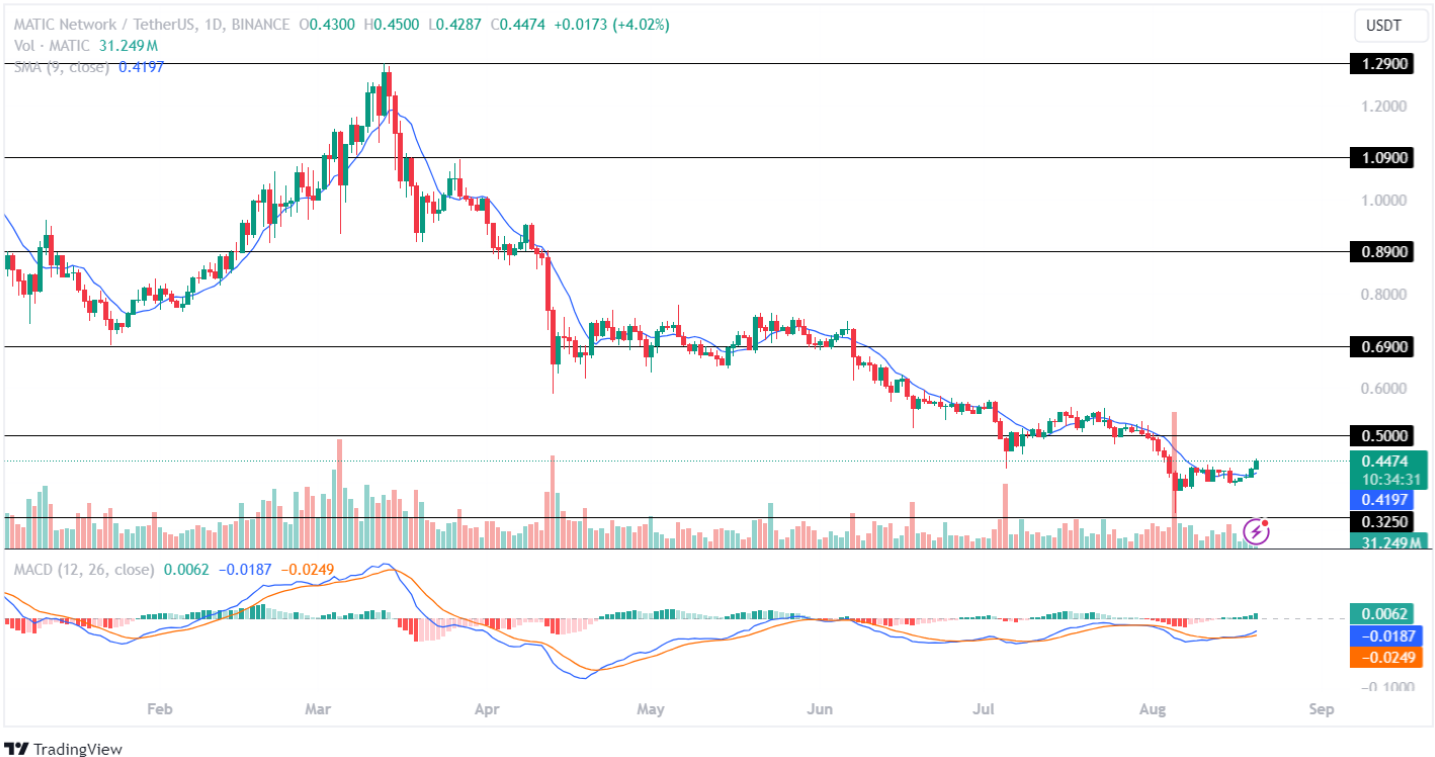 MATIC Price Analysis 20-08-2024
