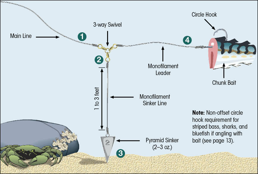 How to Rig for Bottom Fishing in Saltwater: Expert Tips