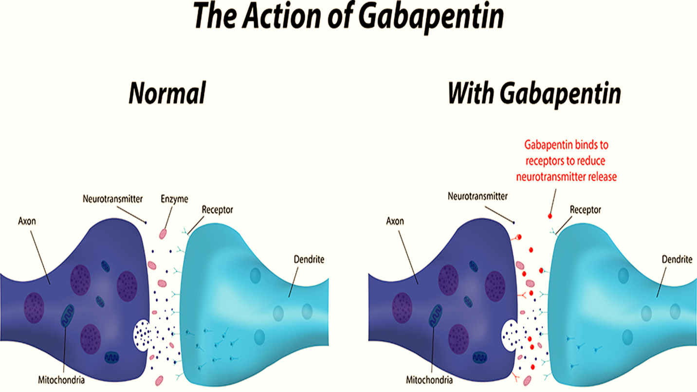 Why You Should Never Mix Gabapentin and Alcohol