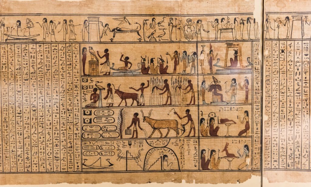 What Is the Significance of Papyrus in Ancient Egyptian Culture?