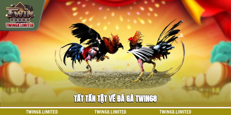 đá gà twin68 - Hình 1