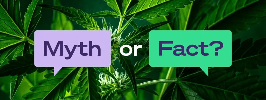 Hemp Myths vs. Facts: Separating Truth from Hype