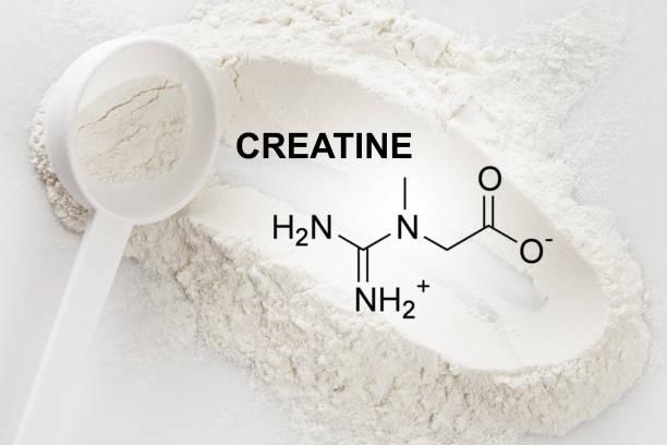 The Science Behind Creatine Monohydrate