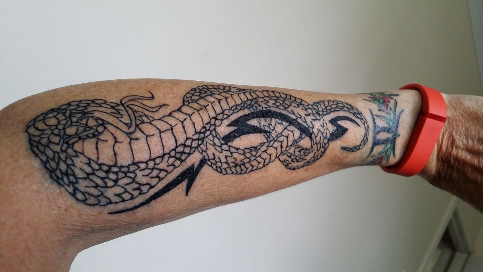 Snake tattoo